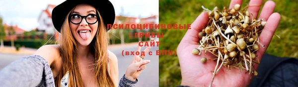 твердый Кинешма