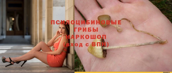 хмурый Киренск