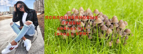 тгк Киреевск