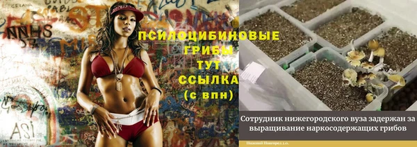 тгк Киреевск