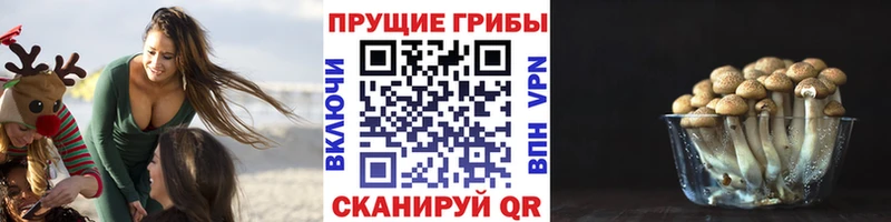 цена   Энгельс  Псилоцибиновые грибы MAGIC MUSHROOMS 